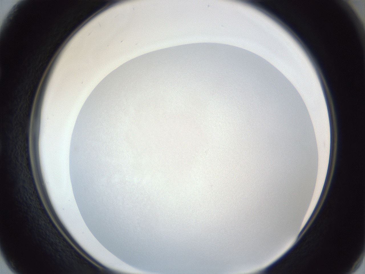 folderID385_plateID1385_batchID4987_wellNum50_profileID1_d1_r84737_ef.jpg