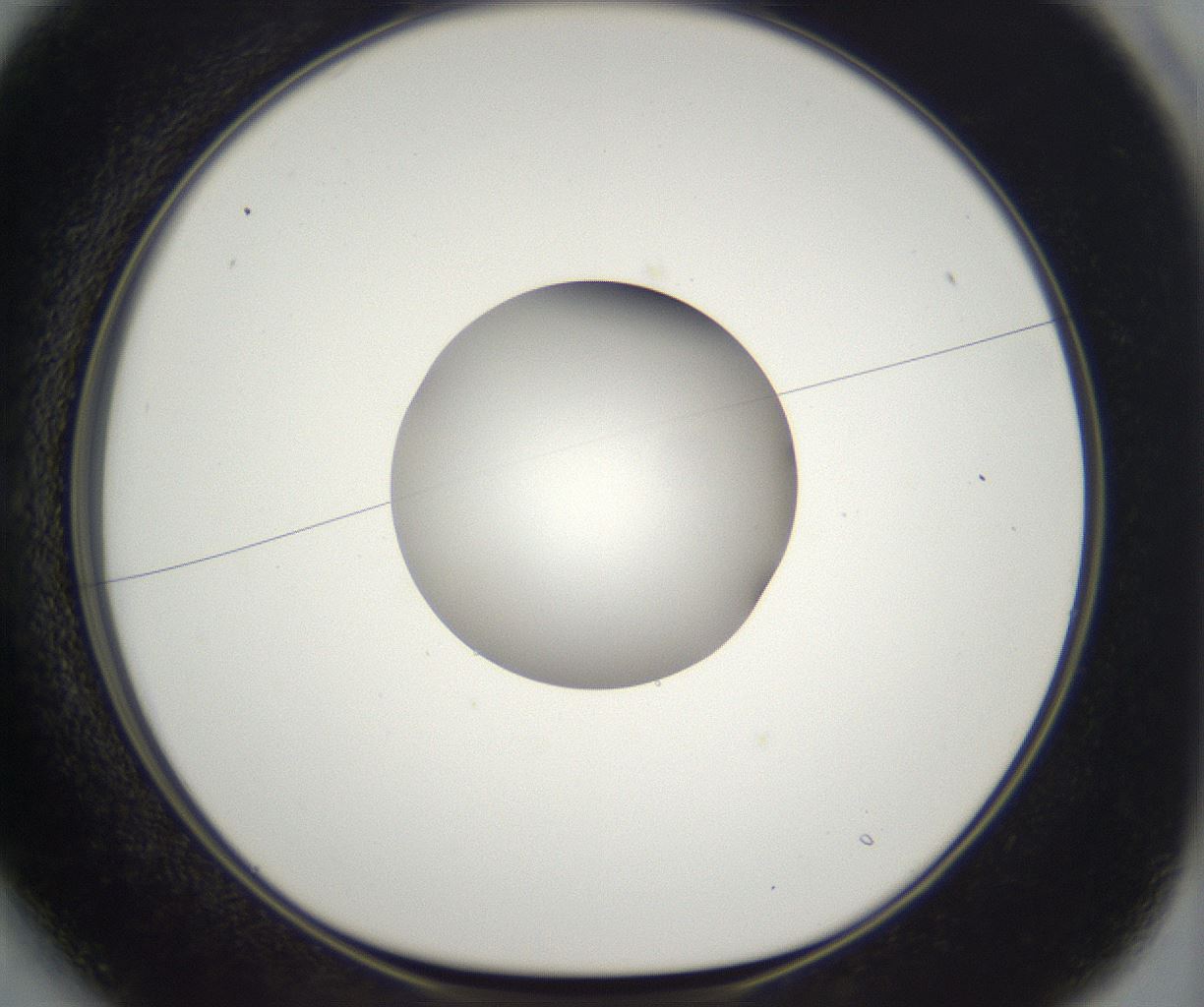 folderID385_plateID2385_batchID11269_wellNum13_profileID1_d1_r176719_ef.jpg