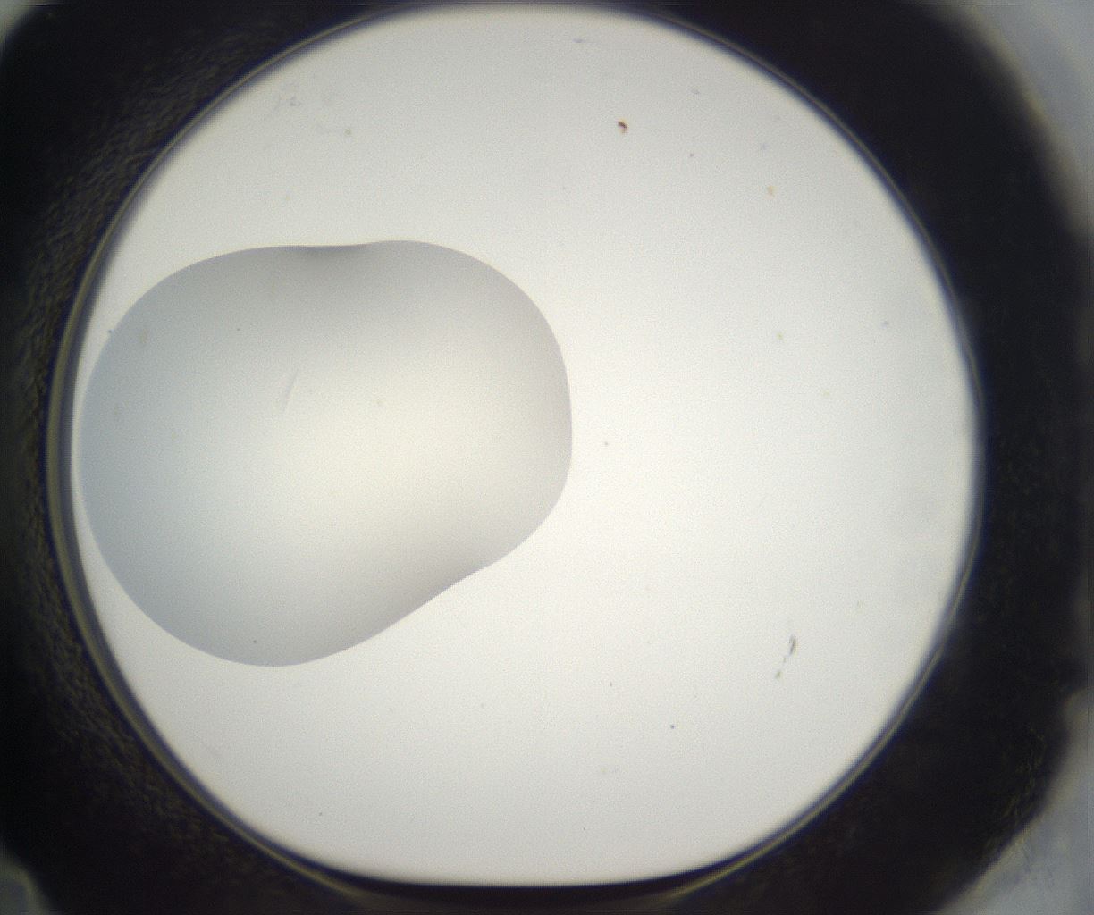 folderID385_plateID2385_batchID11269_wellNum72_profileID1_d1_r176778_ef.jpg