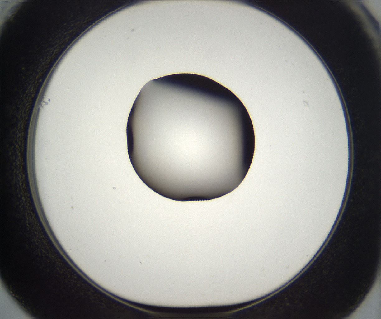 folderID387_plateID2387_batchID11271_wellNum61_profileID1_d1_r176863_ef.jpg