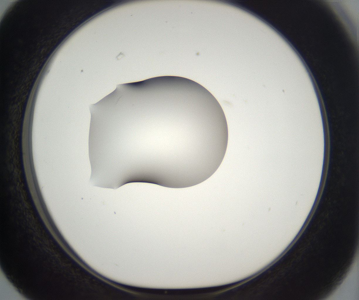 folderID387_plateID2387_batchID11271_wellNum63_profileID1_d1_r176865_ef.jpg