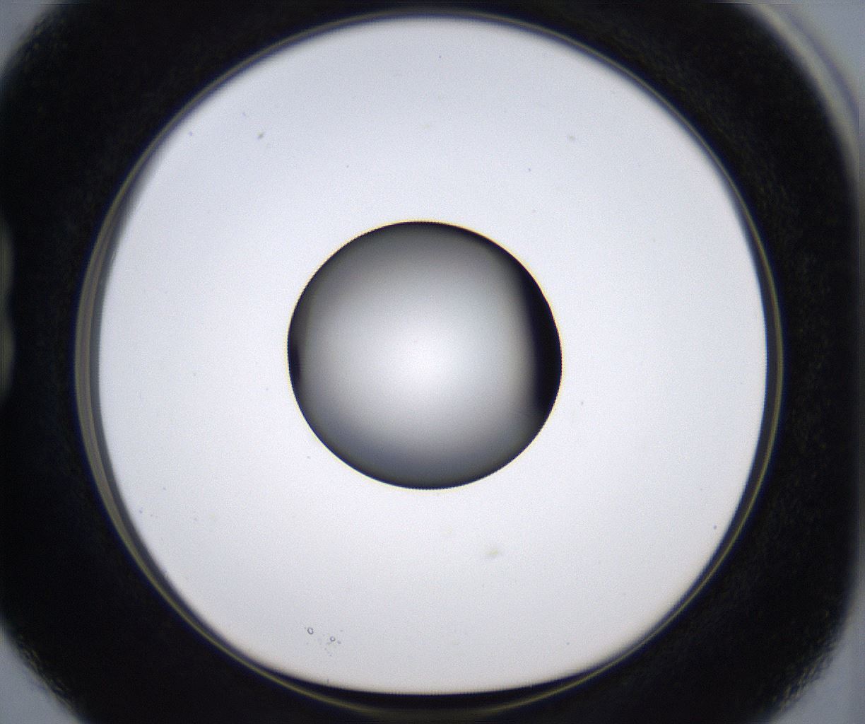 folderID388_plateID2388_batchID11270_wellNum15_profileID1_d1_r176241_ef.jpg