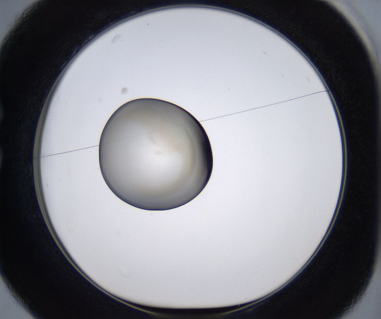 folderID388_plateID2388_batchID11270_wellNum25_profileID1_d1_r176251_ef.jpg