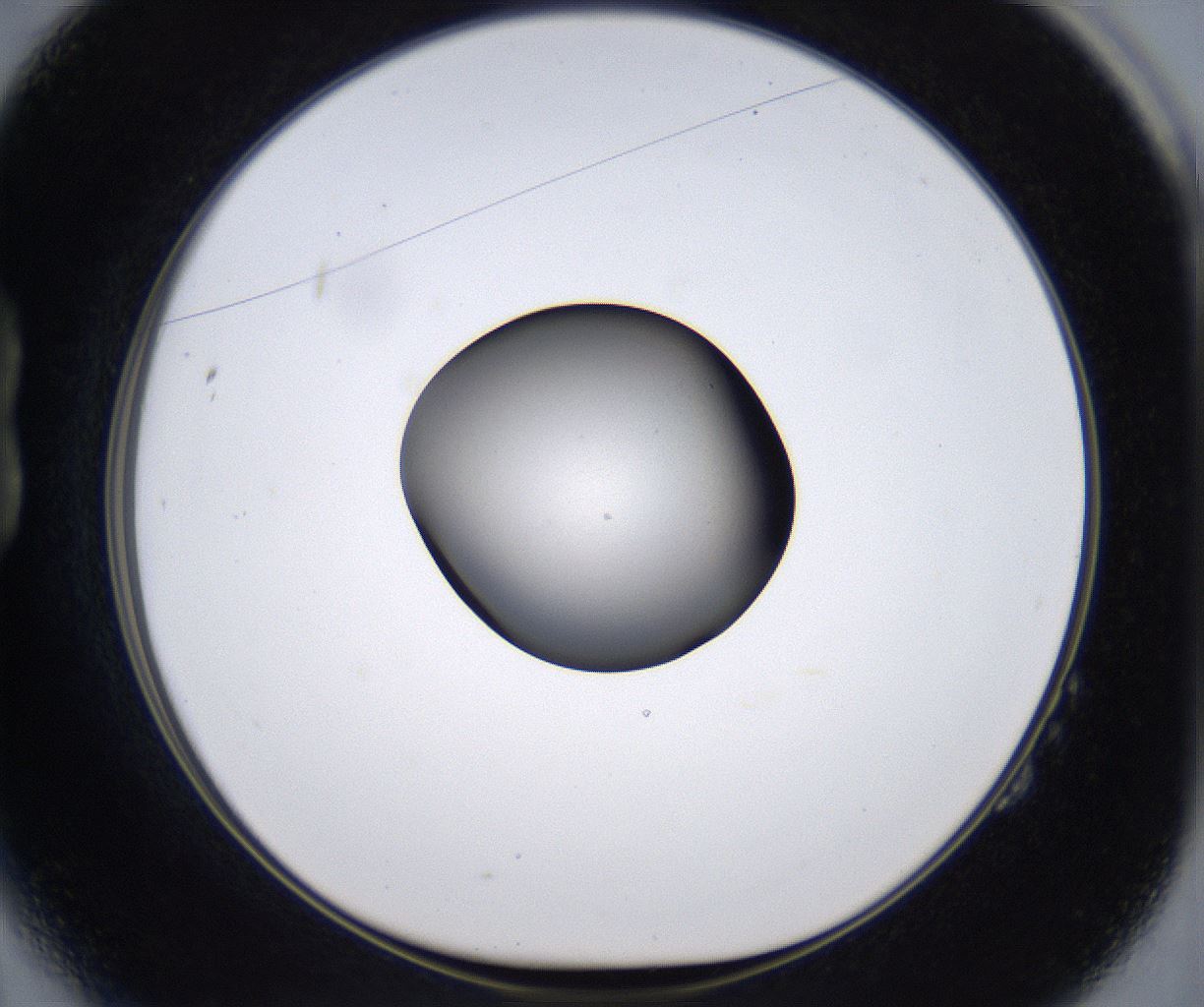 folderID388_plateID2388_batchID11270_wellNum14_profileID1_d1_r176240_ef.jpg