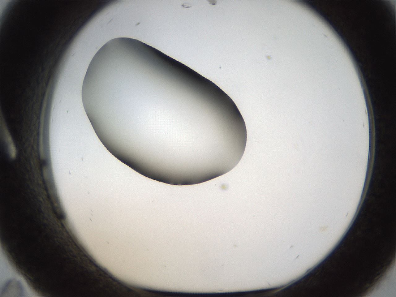 folderID38_plateID1038_batchID2105_wellNum11_profileID1_d1_r46364_ef.jpg
