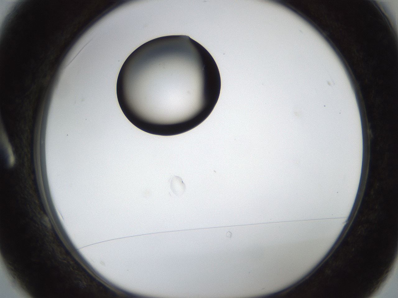 folderID38_plateID1038_batchID2105_wellNum1_profileID1_d1_r46344_ef.jpg