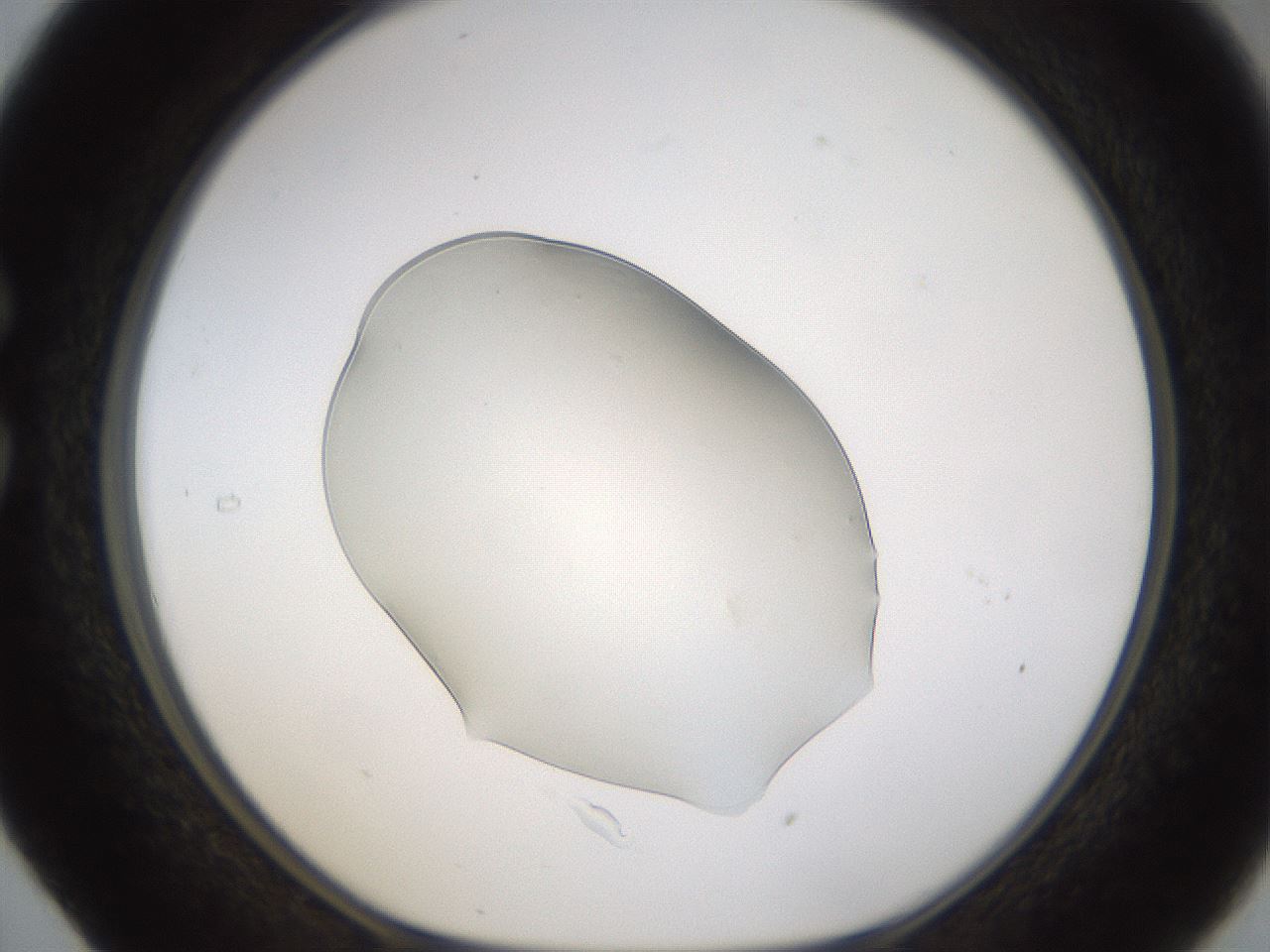 folderID389_plateID1389_batchID5012_wellNum29_profileID1_d1_r84910_ef.jpg