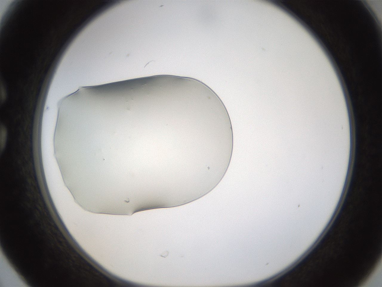 folderID389_plateID1389_batchID5012_wellNum30_profileID1_d1_r84911_ef.jpg