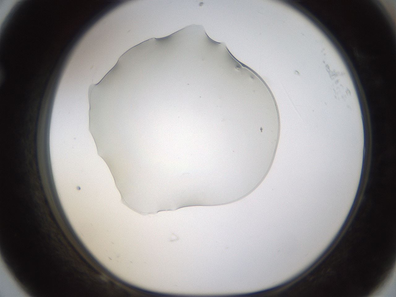 folderID389_plateID1389_batchID5012_wellNum68_profileID1_d1_r84949_ef.jpg