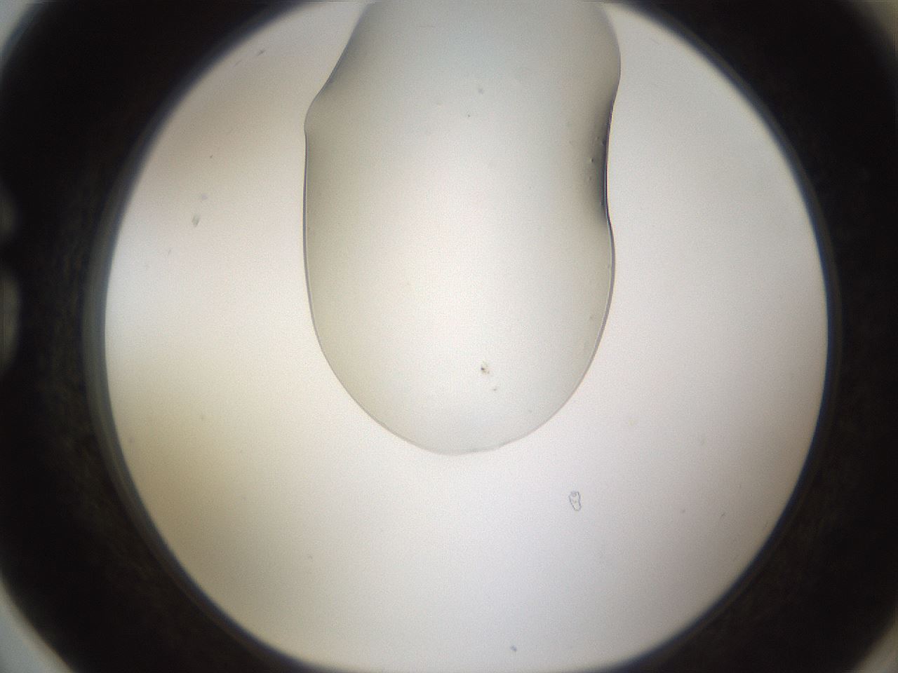 folderID389_plateID1389_batchID5012_wellNum78_profileID1_d1_r84959_ef.jpg