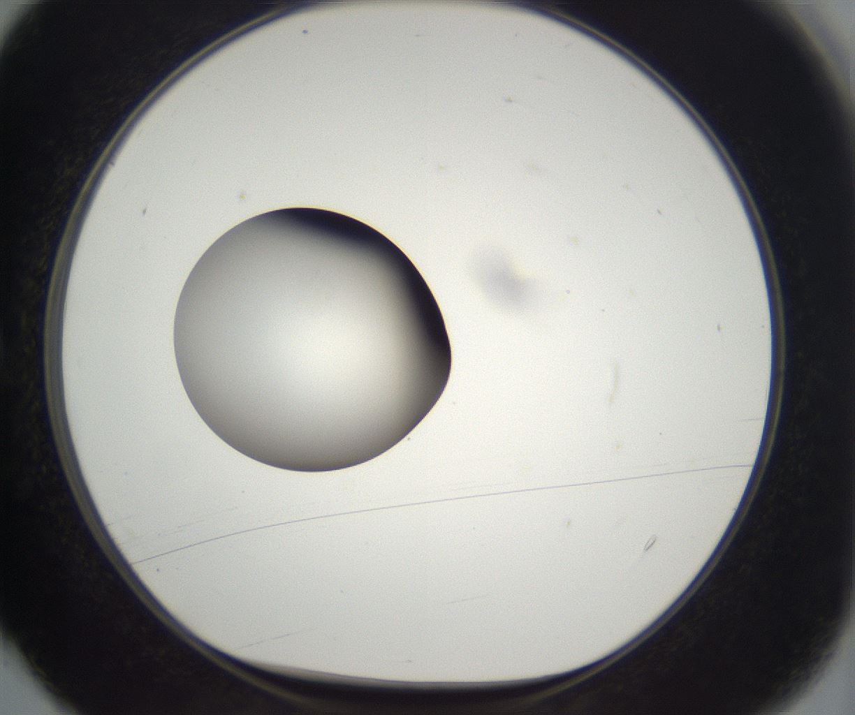 folderID389_plateID2389_batchID11273_wellNum4_profileID1_d1_r176902_ef.jpg