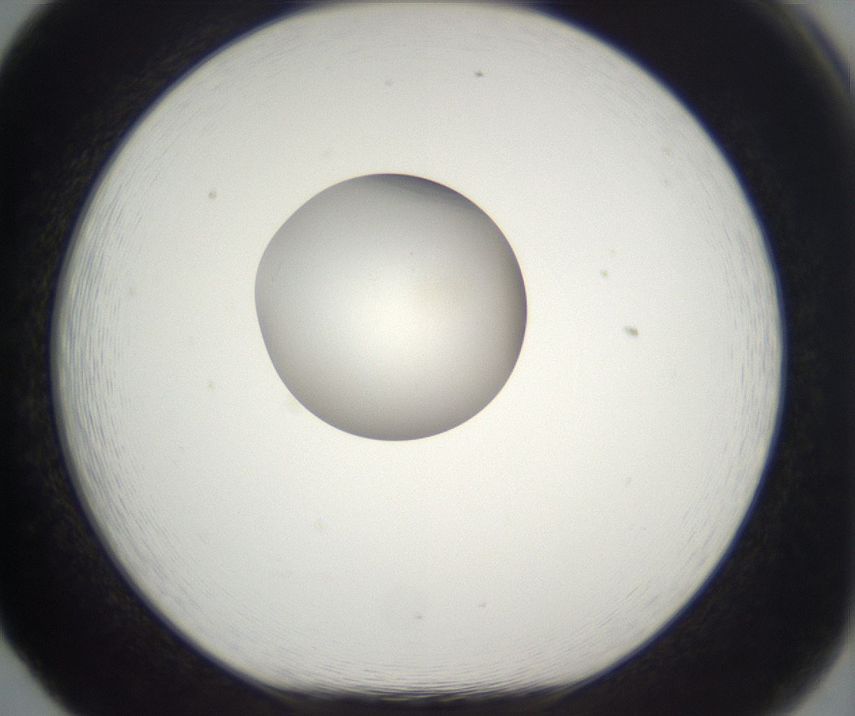 folderID389_plateID2389_batchID11273_wellNum65_profileID1_d1_r176963_ef.jpg
