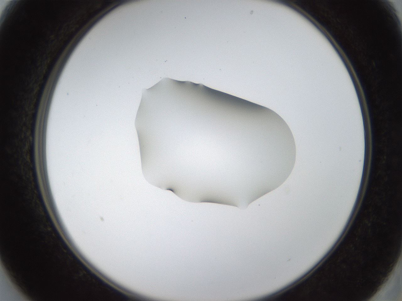 folderID38_plateID1038_batchID2105_wellNum13_profileID1_d2_r46369_ef.jpg