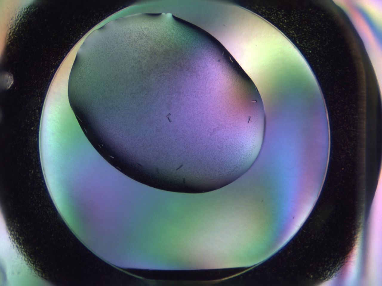 02km_F2_ImagerDefaults_9.jpg