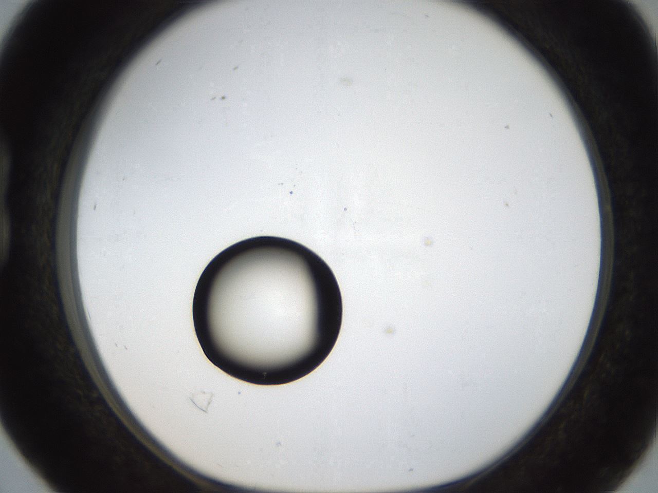 folderID38_plateID1038_batchID2105_wellNum16_profileID1_d1_r46374_ef.jpg