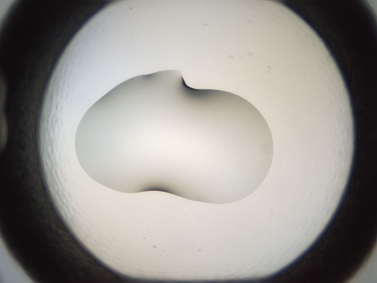 folderID38_plateID1038_batchID2105_wellNum20_profileID1_d1_r46382_ef.jpg