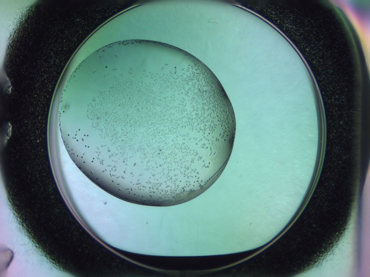 02km_C7_ImagerDefaults_9.jpg