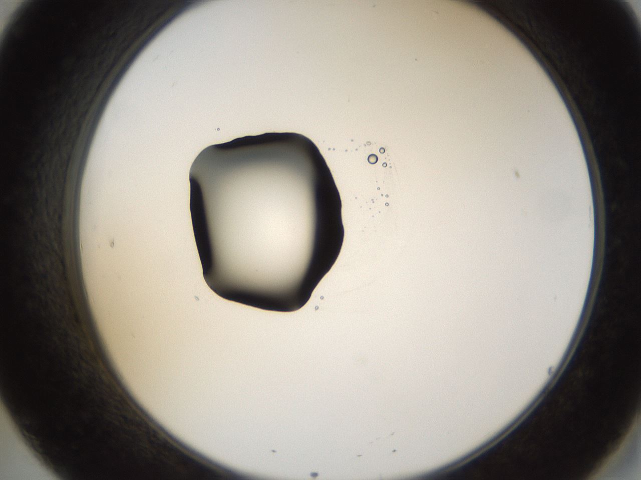 folderID38_plateID1038_batchID2105_wellNum20_profileID1_d2_r46383_ef.jpg