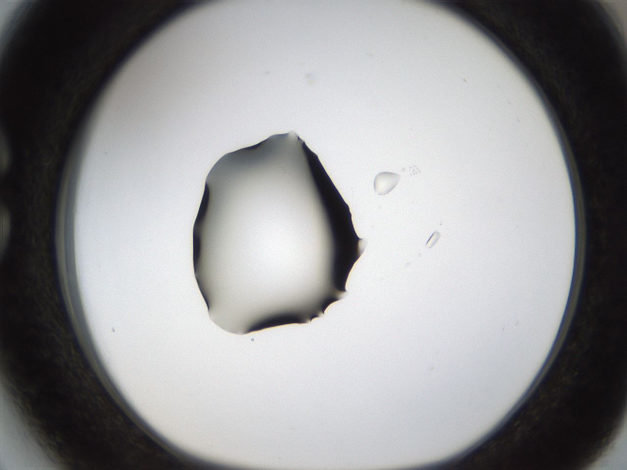folderID38_plateID1038_batchID2105_wellNum27_profileID1_d1_r46396_ef.jpg