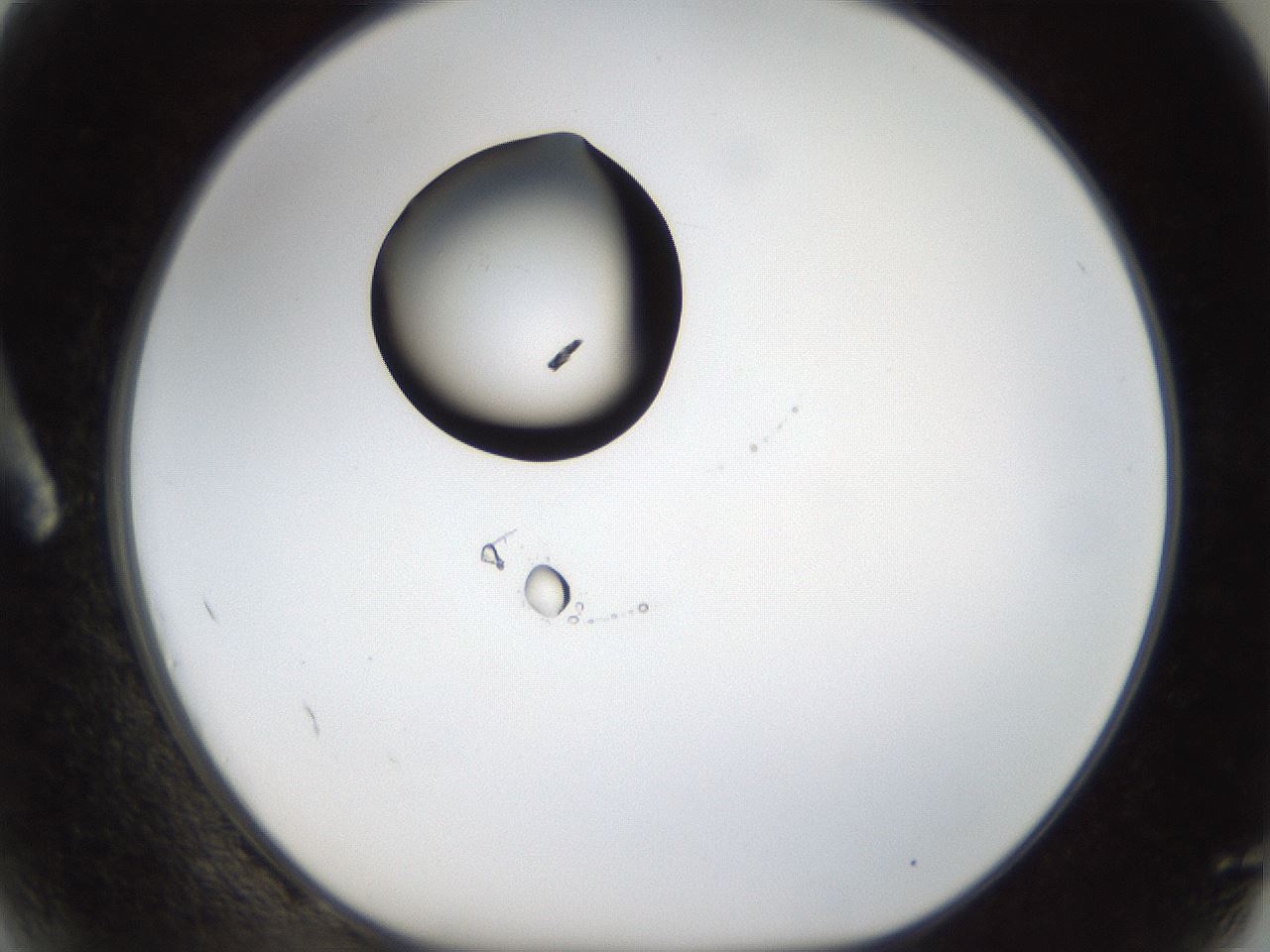 folderID38_plateID1038_batchID2105_wellNum2_profileID1_d1_r46346_ef.jpg