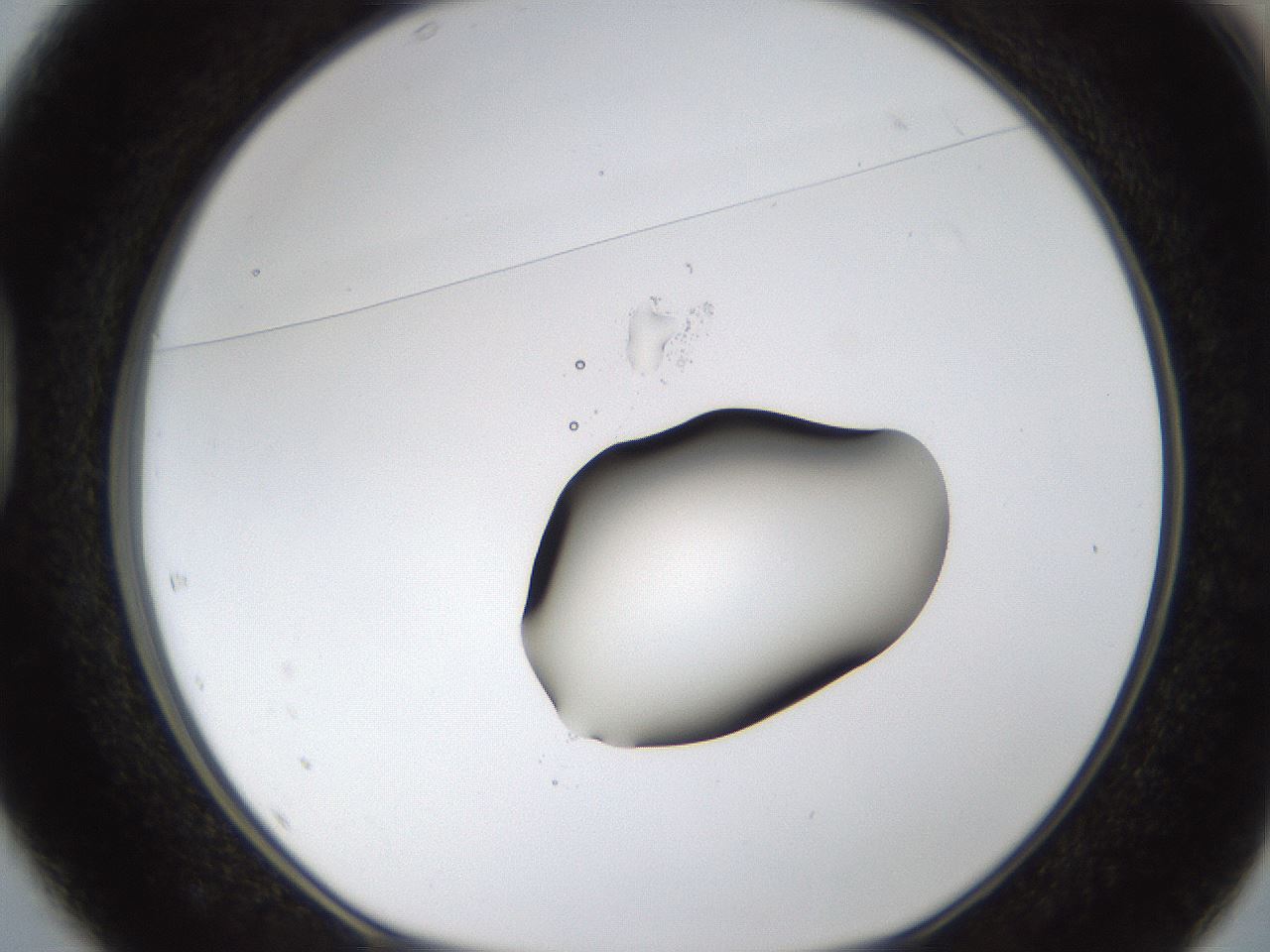 folderID38_plateID1038_batchID2105_wellNum37_profileID1_d1_r46416_ef.jpg