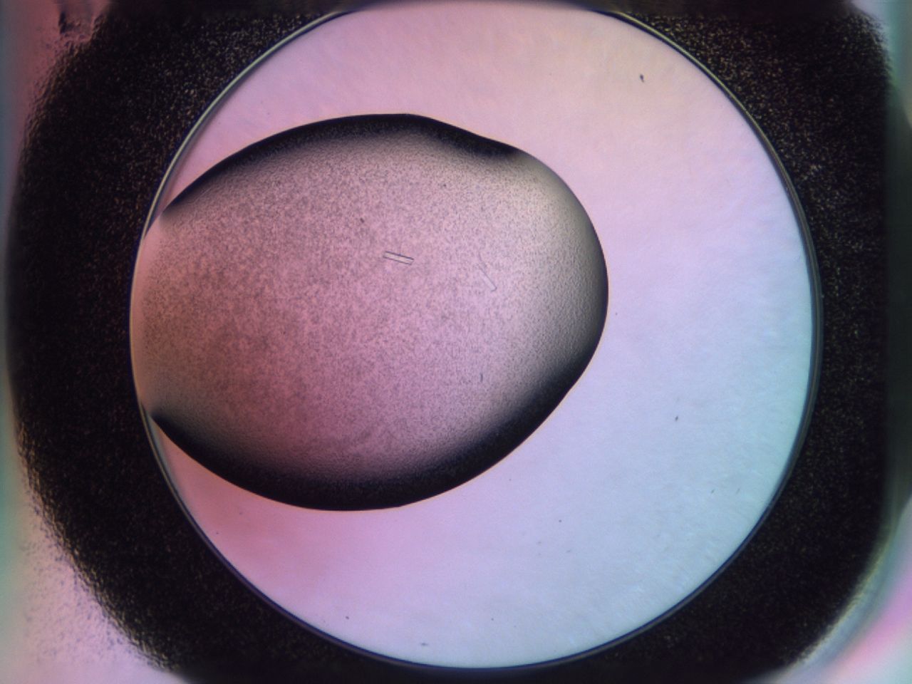 02km_E11_ImagerDefaults_9.jpg
