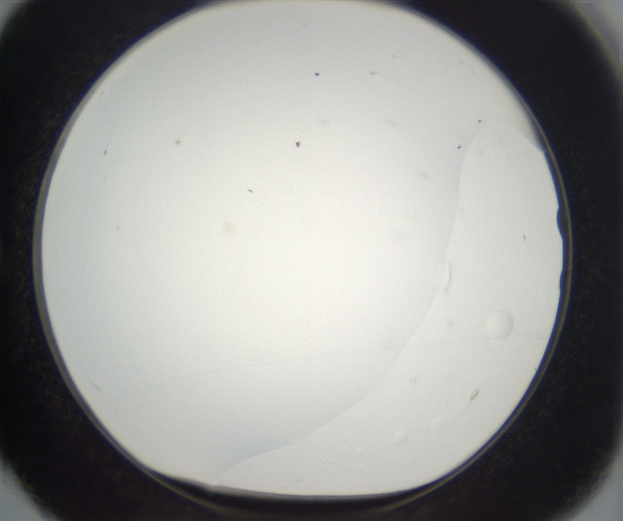 folderID395_plateID2395_batchID11264_wellNum4_profileID1_d1_r177382_ef.jpg
