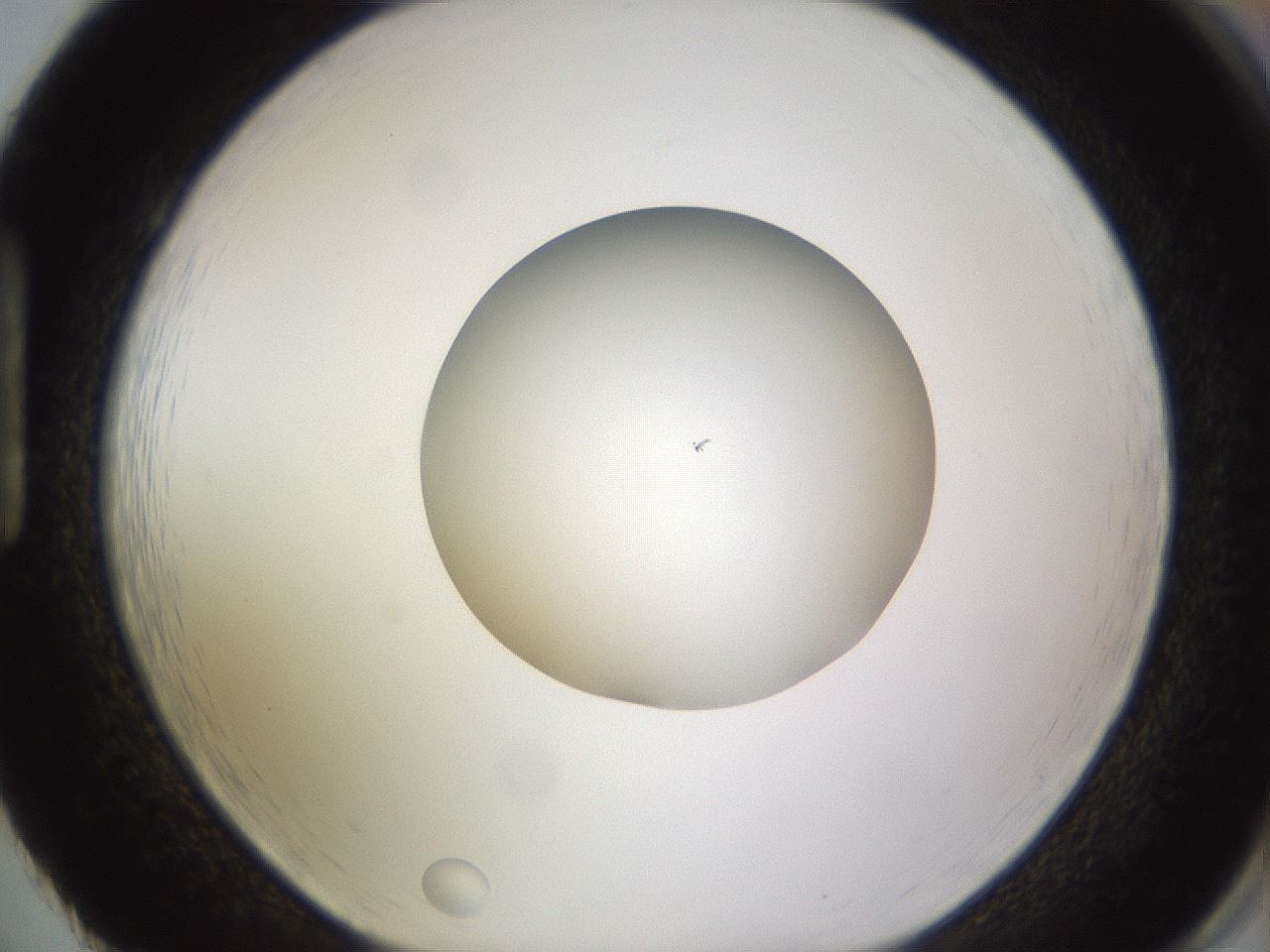 folderID397_plateID1397_batchID5053_wellNum86_profileID1_d1_r85255_ef.jpg