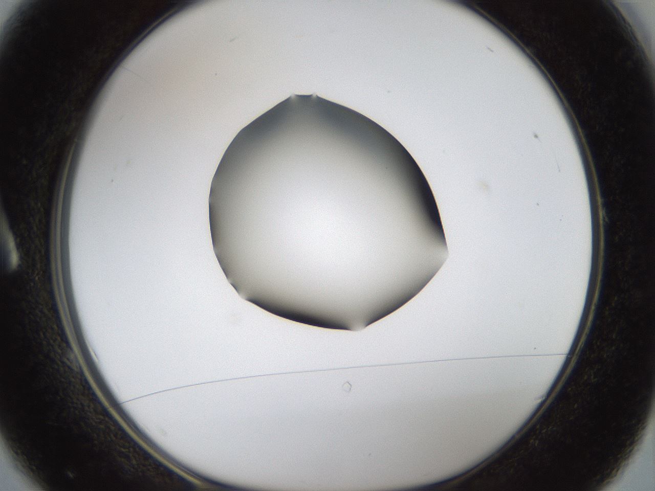 folderID39_plateID1039_batchID2095_wellNum1_profileID1_d1_r45192_ef.jpg