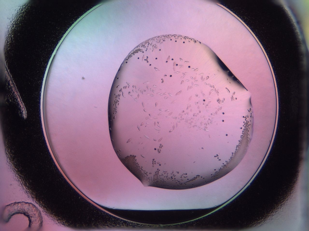 02km_A12_ImagerDefaults_9.jpg