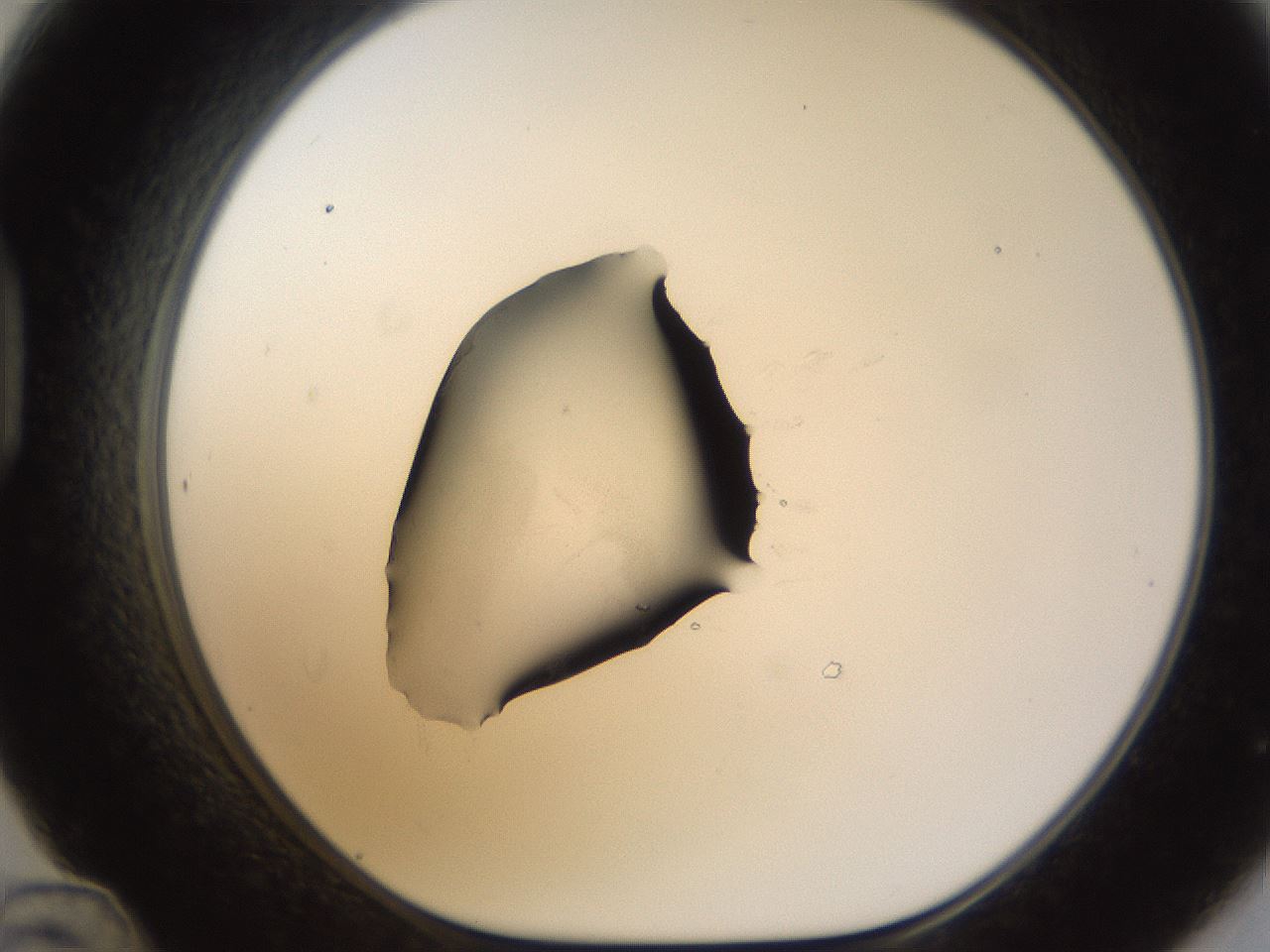 folderID38_plateID1038_batchID2105_wellNum48_profileID1_d1_r46438_ef.jpg