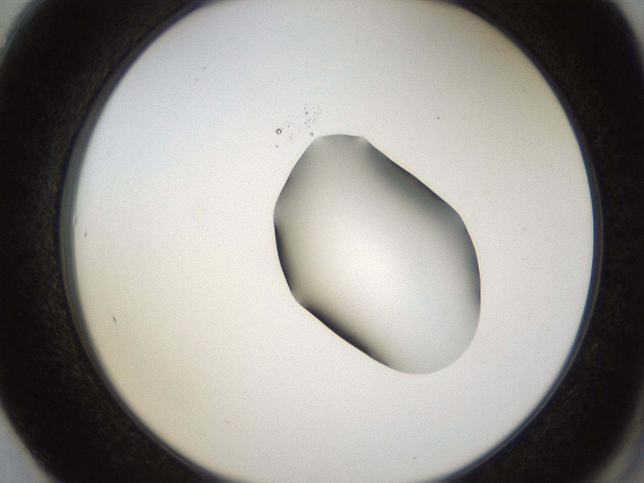 folderID38_plateID1038_batchID2105_wellNum61_profileID1_d2_r46465_ef.jpg