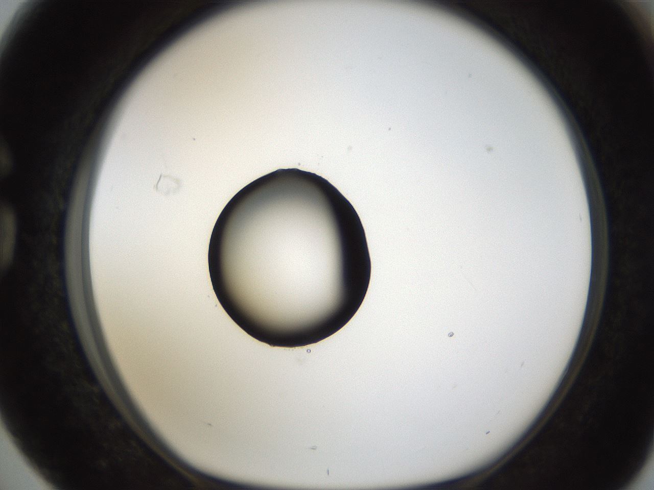 folderID38_plateID1038_batchID2105_wellNum76_profileID1_d1_r46494_ef.jpg