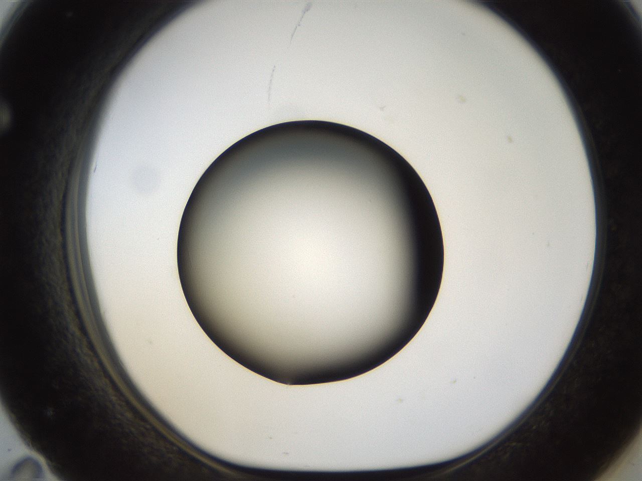 folderID38_plateID1038_batchID2105_wellNum71_profileID1_d1_r46484_ef.jpg