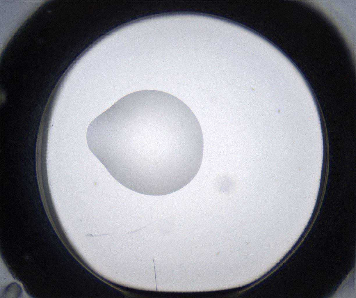 folderID390_plateID2390_batchID11272_wellNum71_profileID1_d1_r176393_ef.jpg