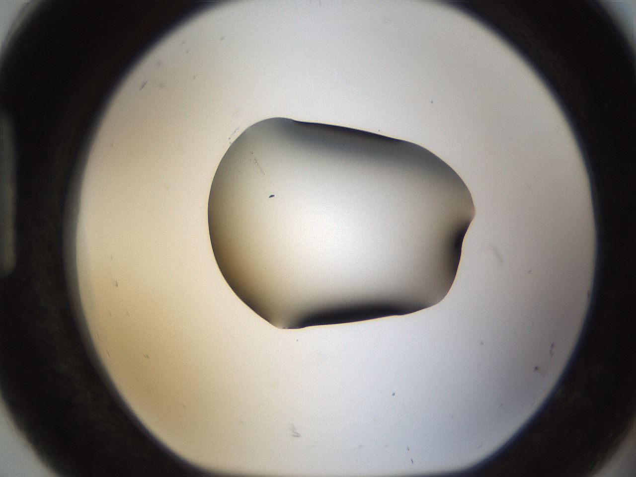 folderID38_plateID1038_batchID2105_wellNum92_profileID1_d1_r46526_ef.jpg
