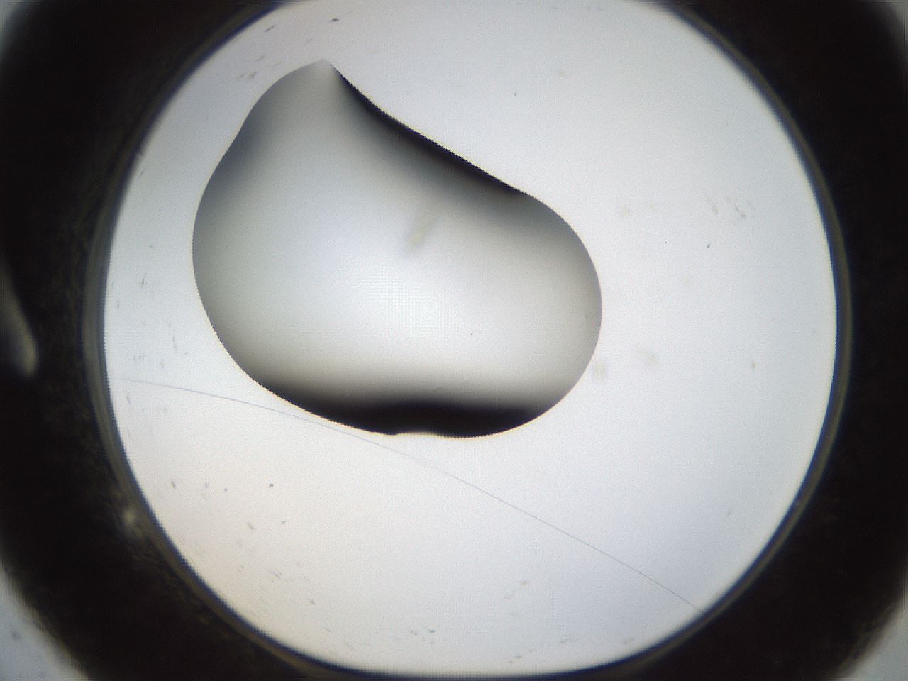folderID38_plateID1038_batchID2105_wellNum9_profileID1_d1_r46360_ef.jpg