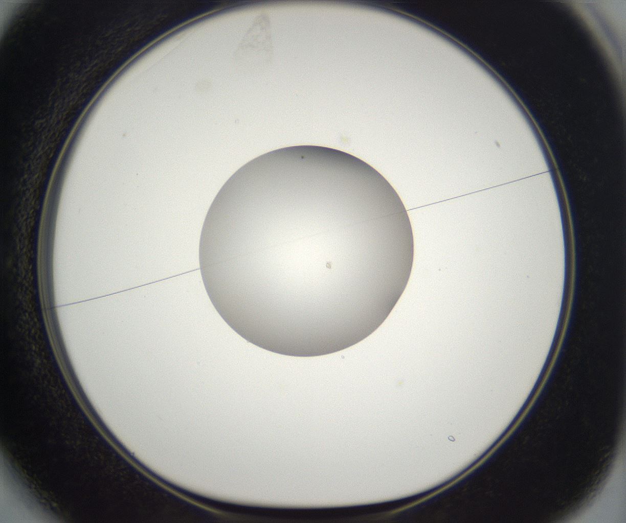 folderID391_plateID2391_batchID11274_wellNum13_profileID1_d1_r177007_ef.jpg