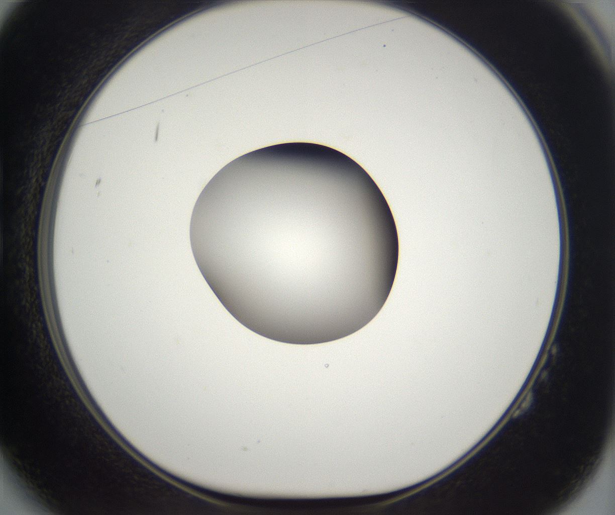 folderID391_plateID2391_batchID11274_wellNum14_profileID1_d1_r177008_ef.jpg