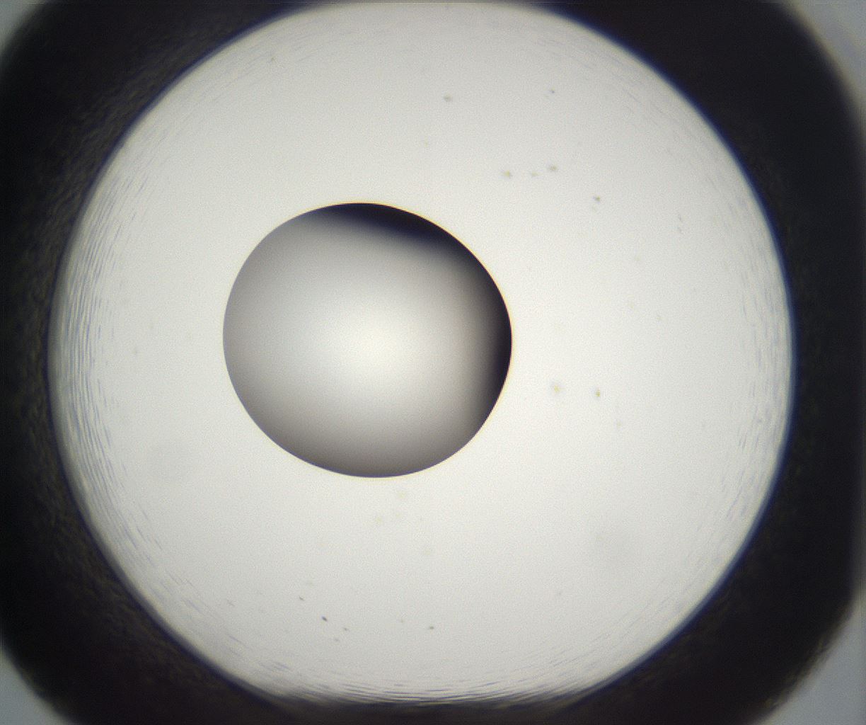 folderID391_plateID2391_batchID11274_wellNum20_profileID1_d1_r177014_ef.jpg