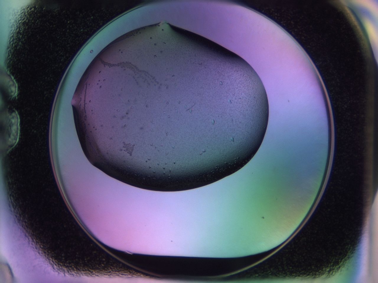 02km_G9_ImagerDefaults_9.jpg