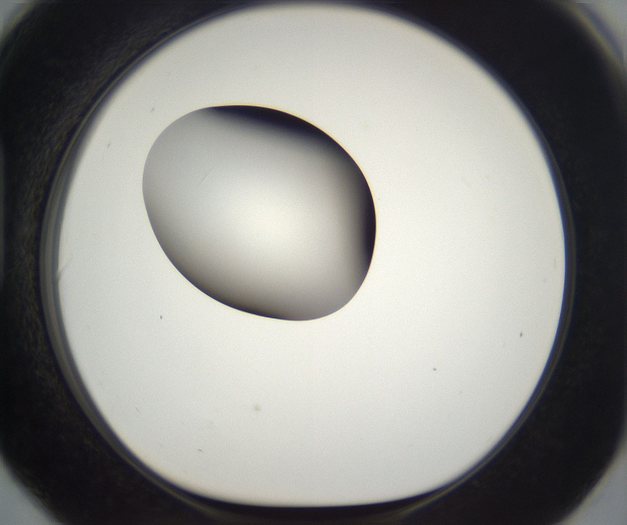 folderID391_plateID2391_batchID11274_wellNum90_profileID1_d1_r177084_ef.jpg