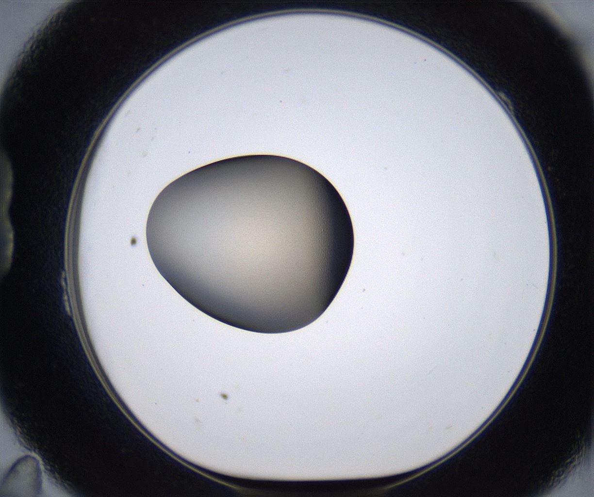 folderID392_plateID2392_batchID11276_wellNum23_profileID1_d1_r176441_ef.jpg