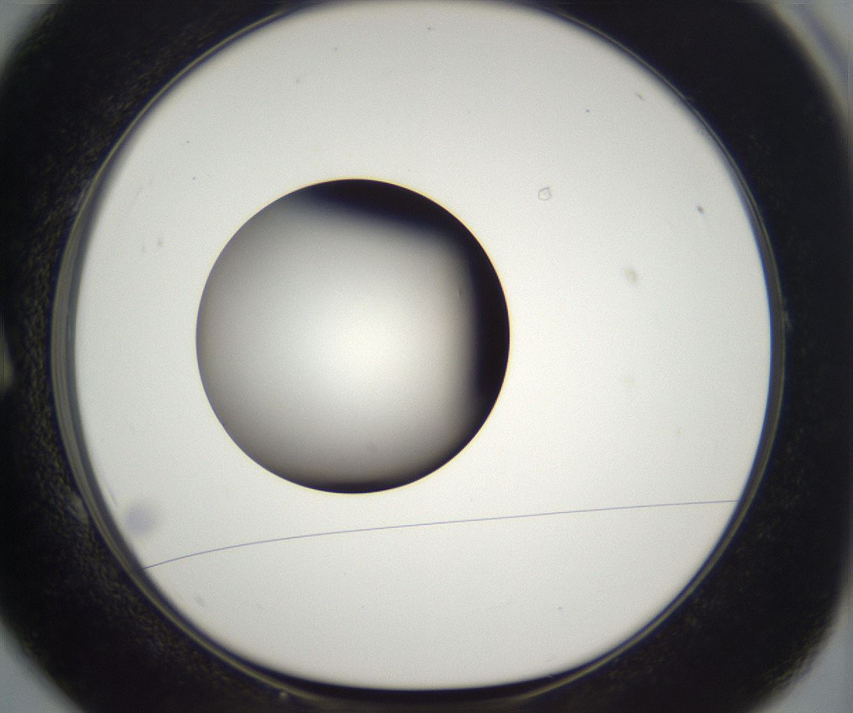 folderID393_plateID2393_batchID11277_wellNum1_profileID1_d1_r177091_ef.jpg
