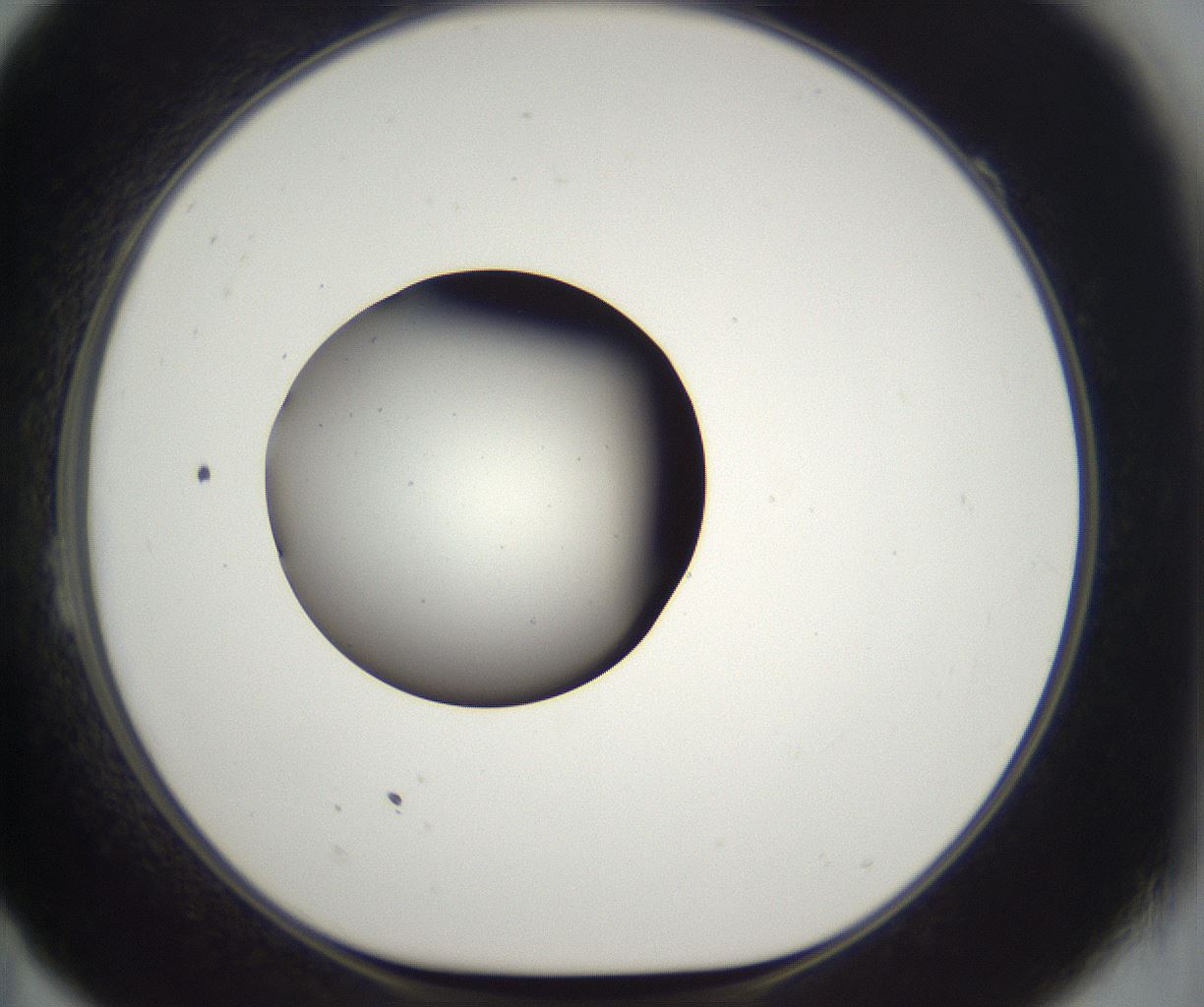 folderID393_plateID2393_batchID11277_wellNum23_profileID1_d1_r177113_ef.jpg