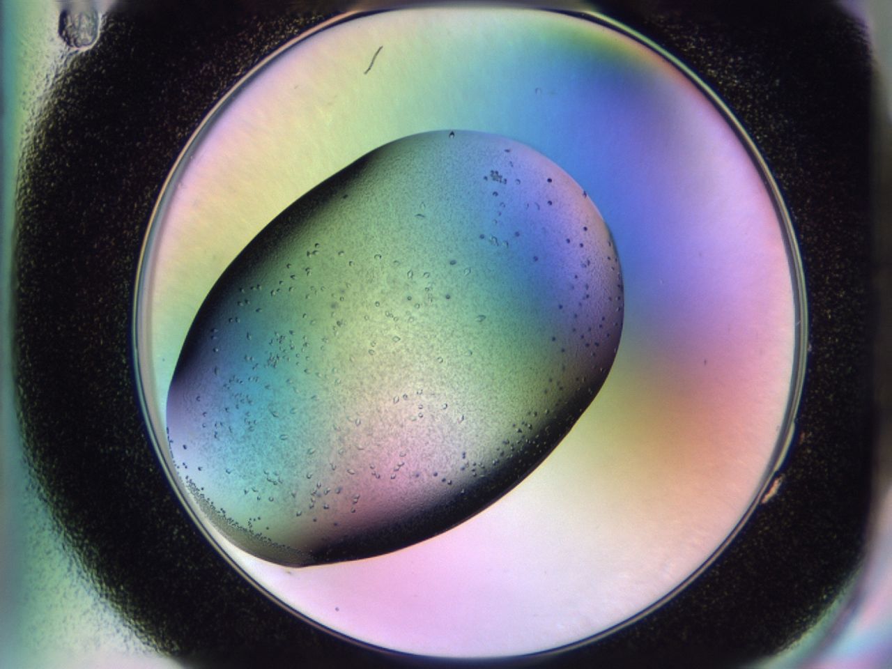 02km_G11_ImagerDefaults_9.jpg