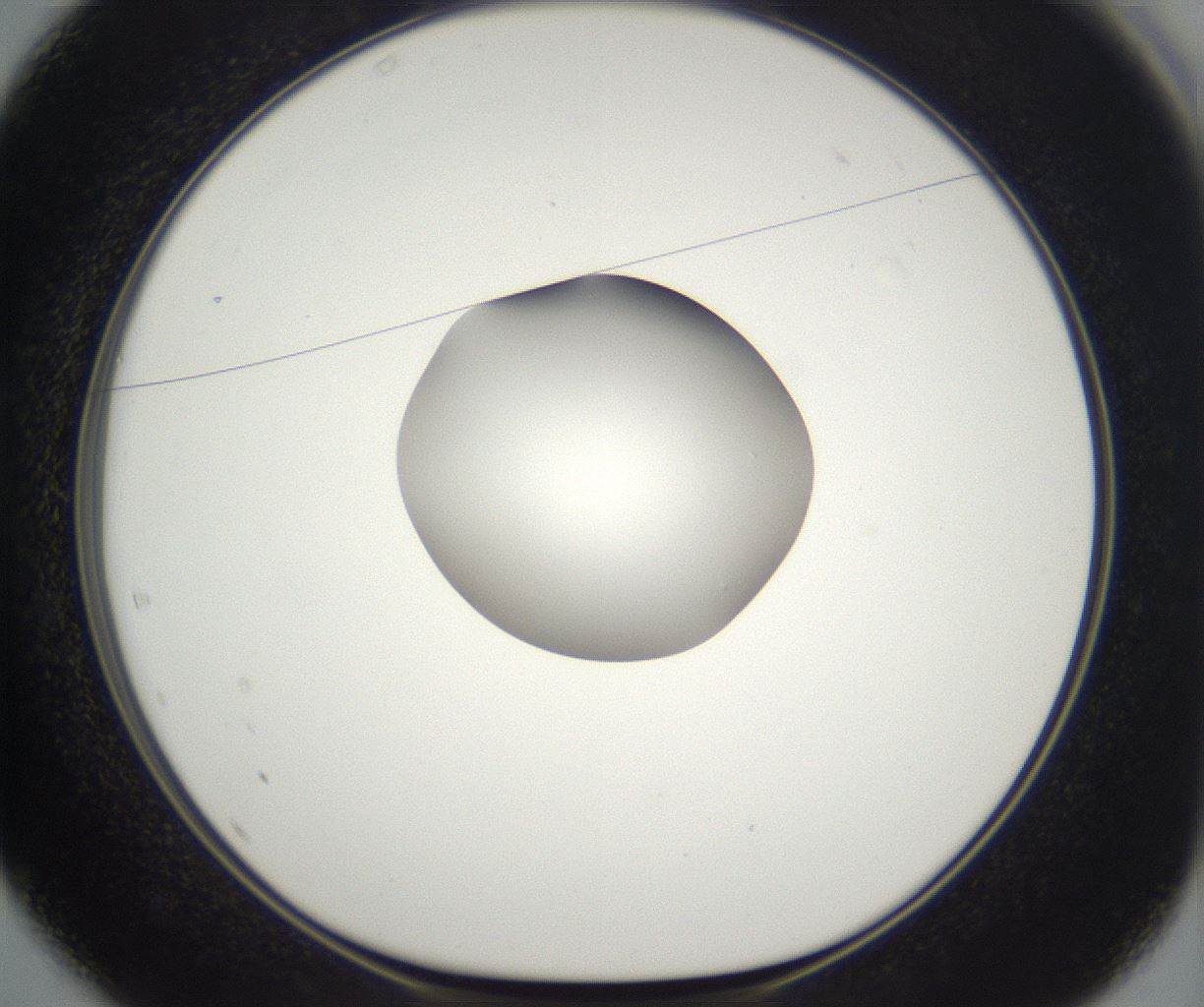 folderID393_plateID2393_batchID11277_wellNum37_profileID1_d1_r177127_ef.jpg