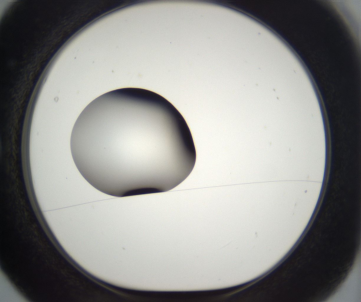 folderID393_plateID2393_batchID11277_wellNum5_profileID1_d1_r177095_ef.jpg