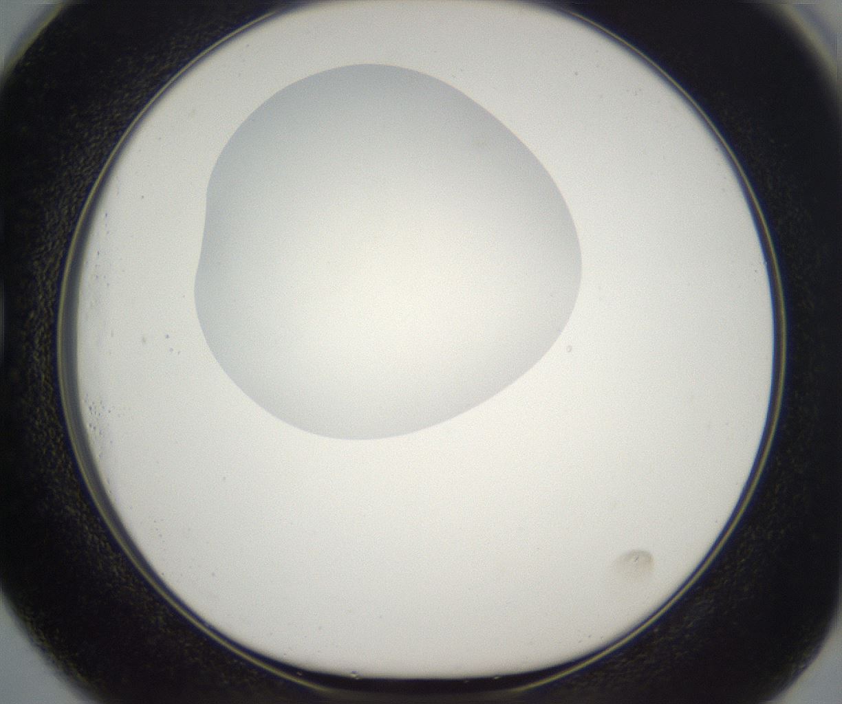 folderID393_plateID2393_batchID11277_wellNum73_profileID1_d1_r177163_ef.jpg