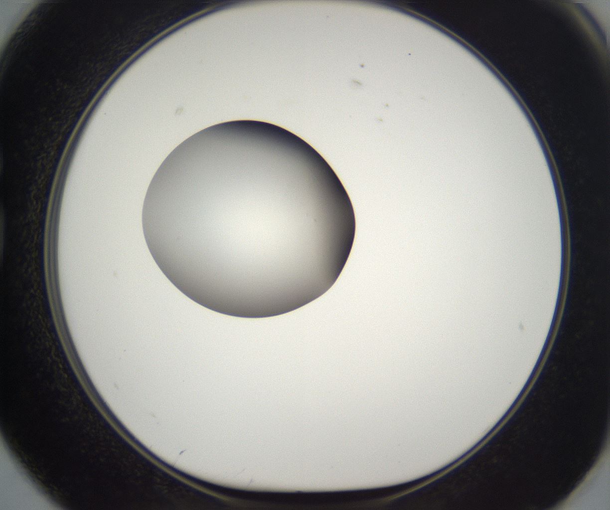 folderID393_plateID2393_batchID11277_wellNum74_profileID1_d1_r177164_ef.jpg